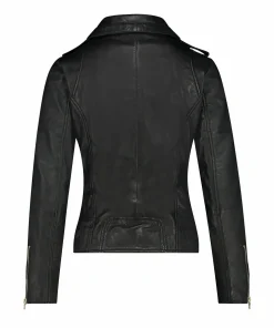 Bear Blaze Blackgold